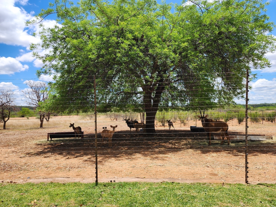 Commercial Property for Sale in Mopane Limpopo