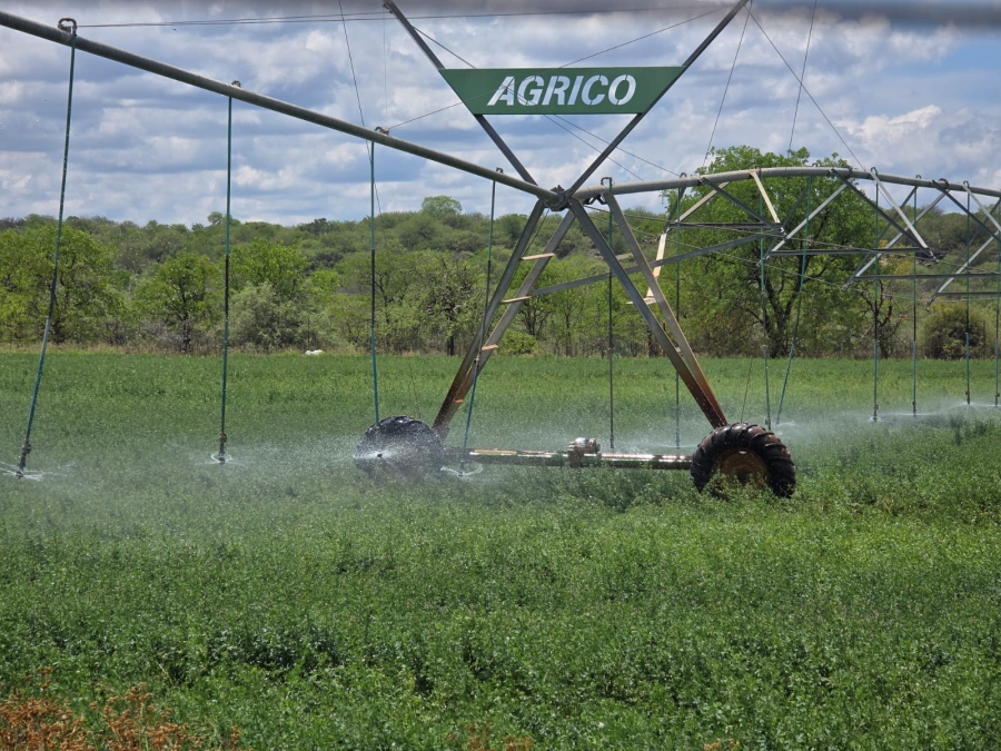 Commercial Property for Sale in Mopane Limpopo