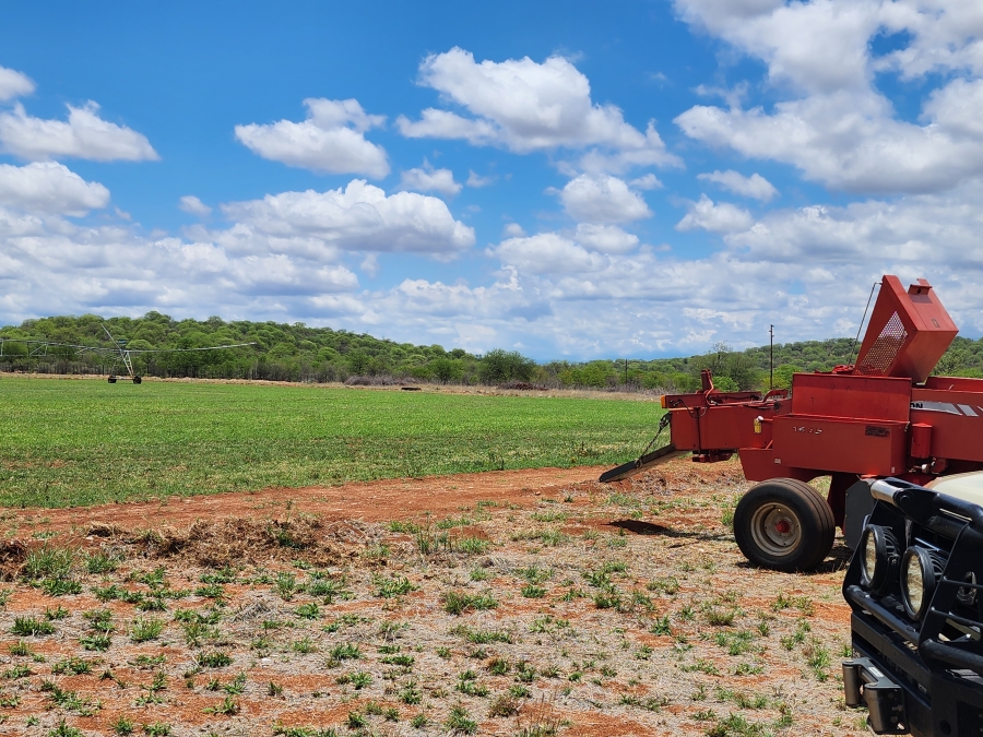 Commercial Property for Sale in Mopane Limpopo