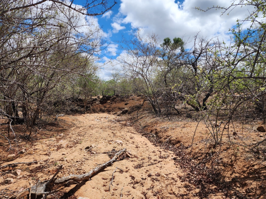 Commercial Property for Sale in Mopane Limpopo