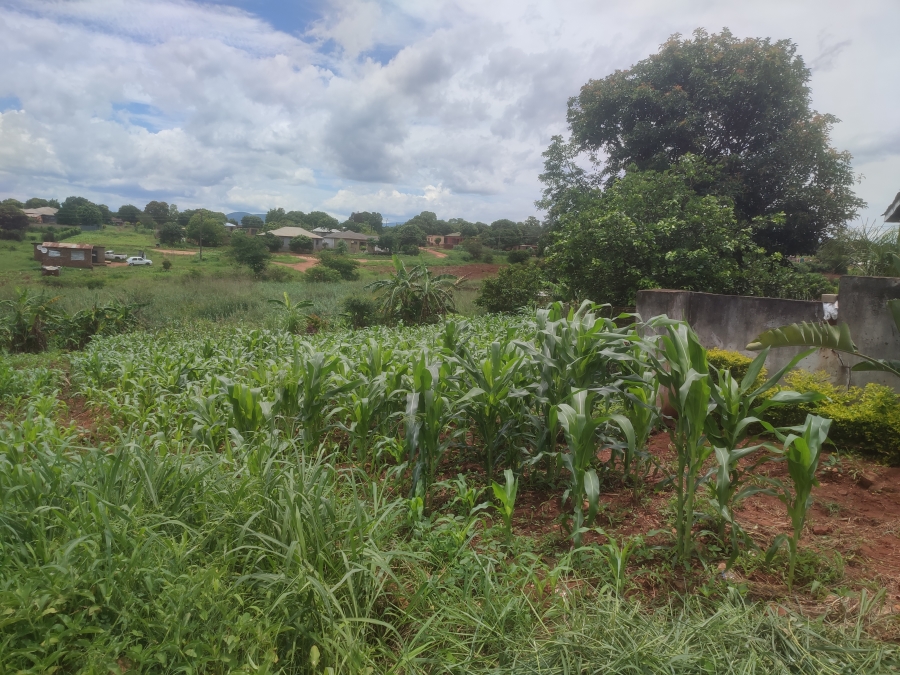 0 Bedroom Property for Sale in Thohoyandou Limpopo