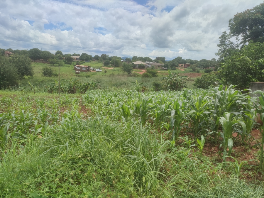 0 Bedroom Property for Sale in Thohoyandou Limpopo