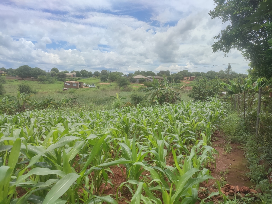 0 Bedroom Property for Sale in Thohoyandou Limpopo