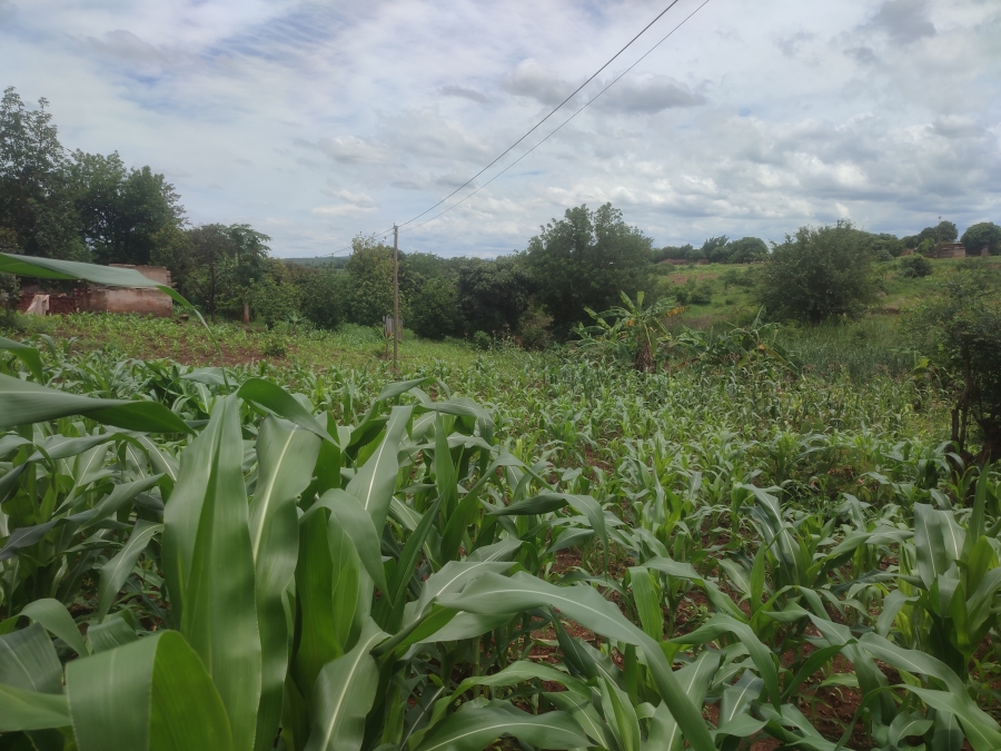 0 Bedroom Property for Sale in Thohoyandou Limpopo