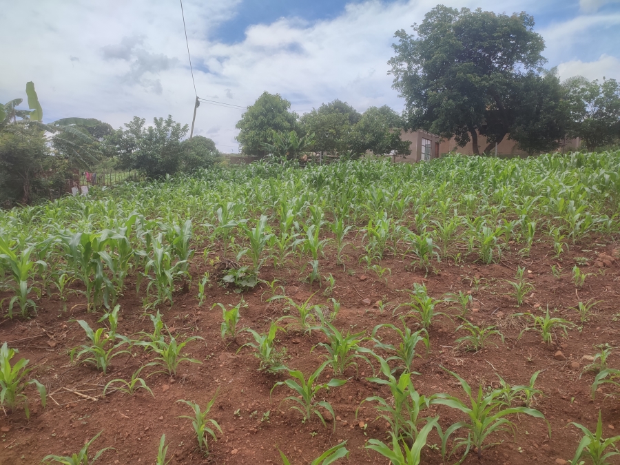 0 Bedroom Property for Sale in Thohoyandou Limpopo