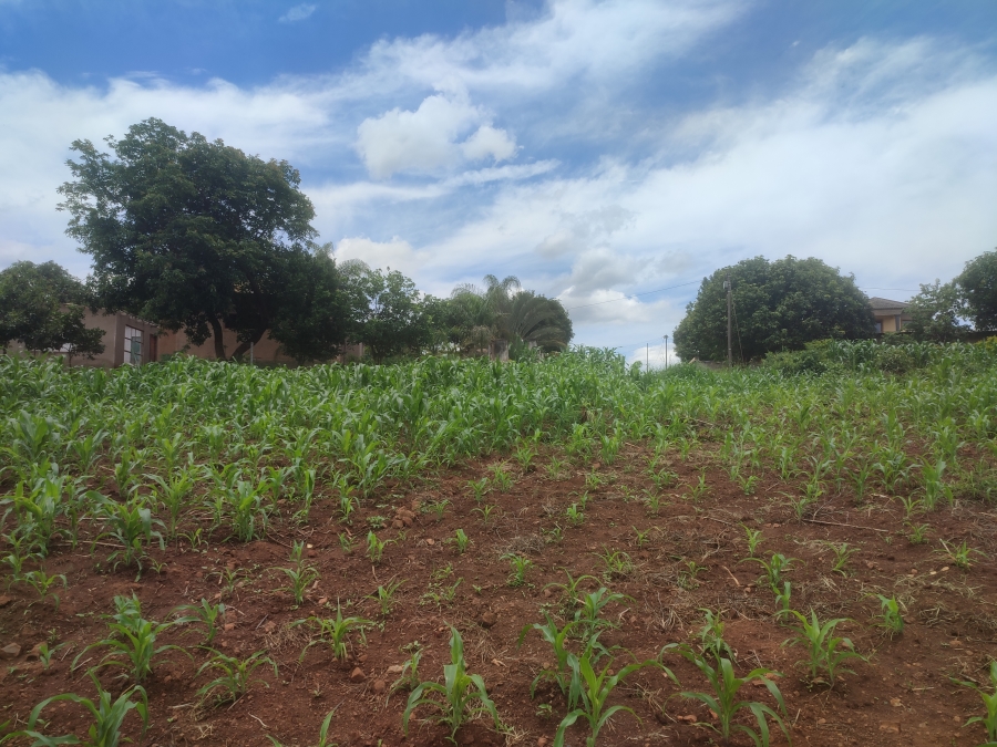 0 Bedroom Property for Sale in Thohoyandou Limpopo