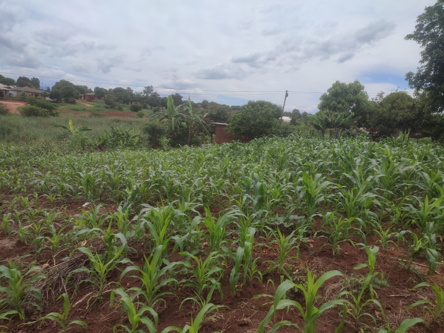 0 Bedroom Property for Sale in Thohoyandou Limpopo