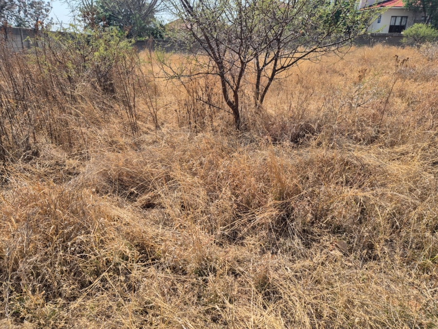 0 Bedroom Property for Sale in Bendor Limpopo