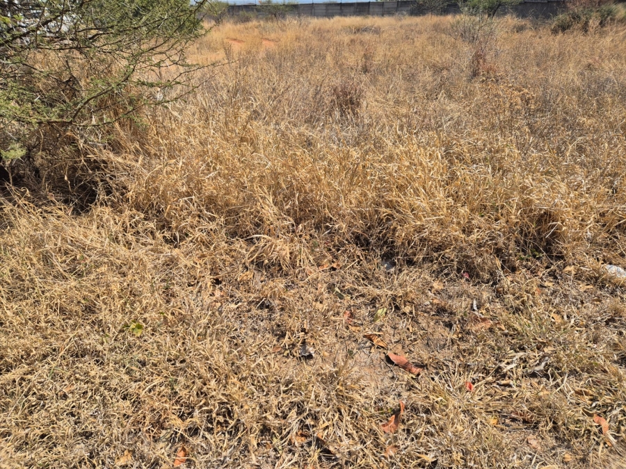 0 Bedroom Property for Sale in Bendor Limpopo