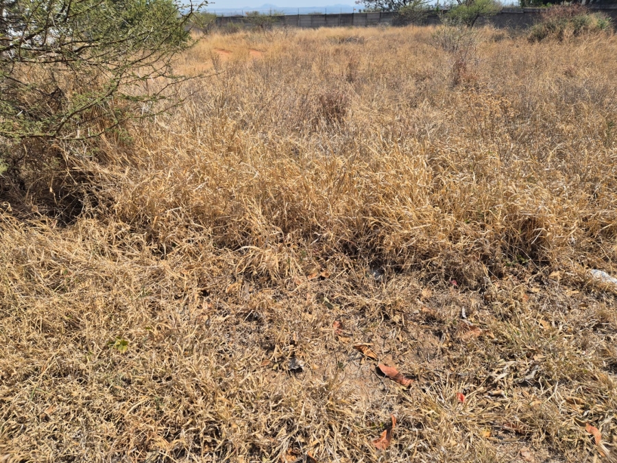 0 Bedroom Property for Sale in Bendor Limpopo