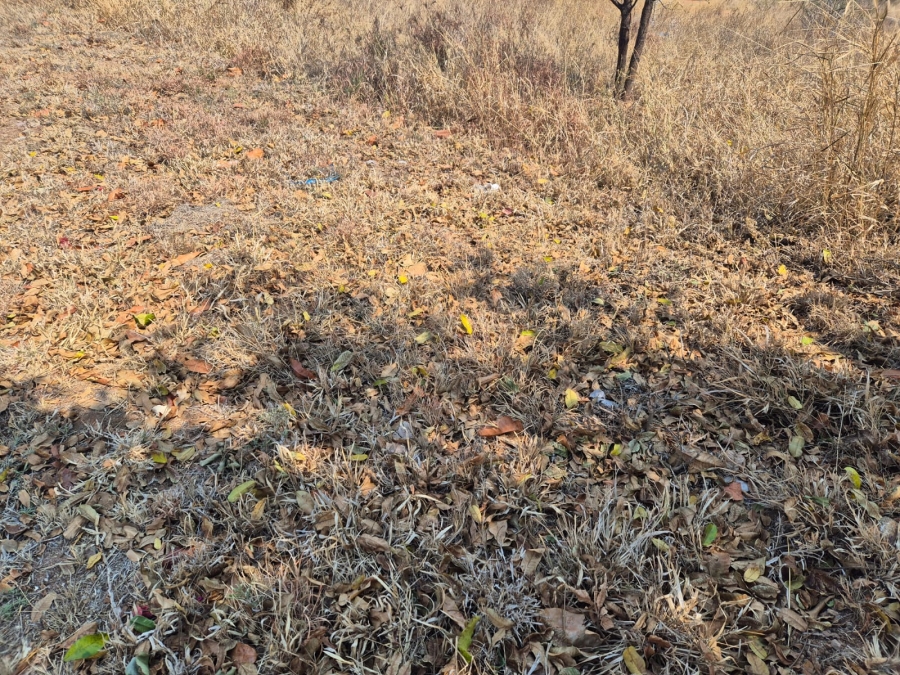 0 Bedroom Property for Sale in Bendor Limpopo