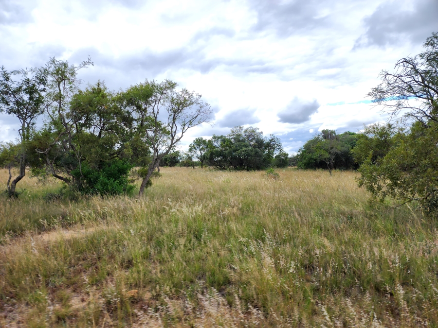 12 Bedroom Property for Sale in Polokwane Rural Limpopo