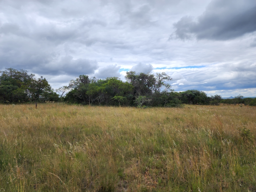 12 Bedroom Property for Sale in Polokwane Rural Limpopo