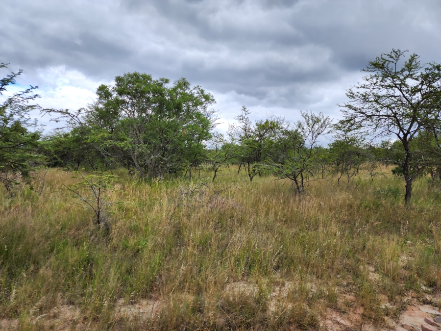 12 Bedroom Property for Sale in Polokwane Rural Limpopo