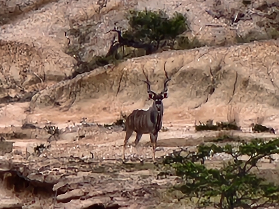 12 Bedroom Property for Sale in Polokwane Rural Limpopo