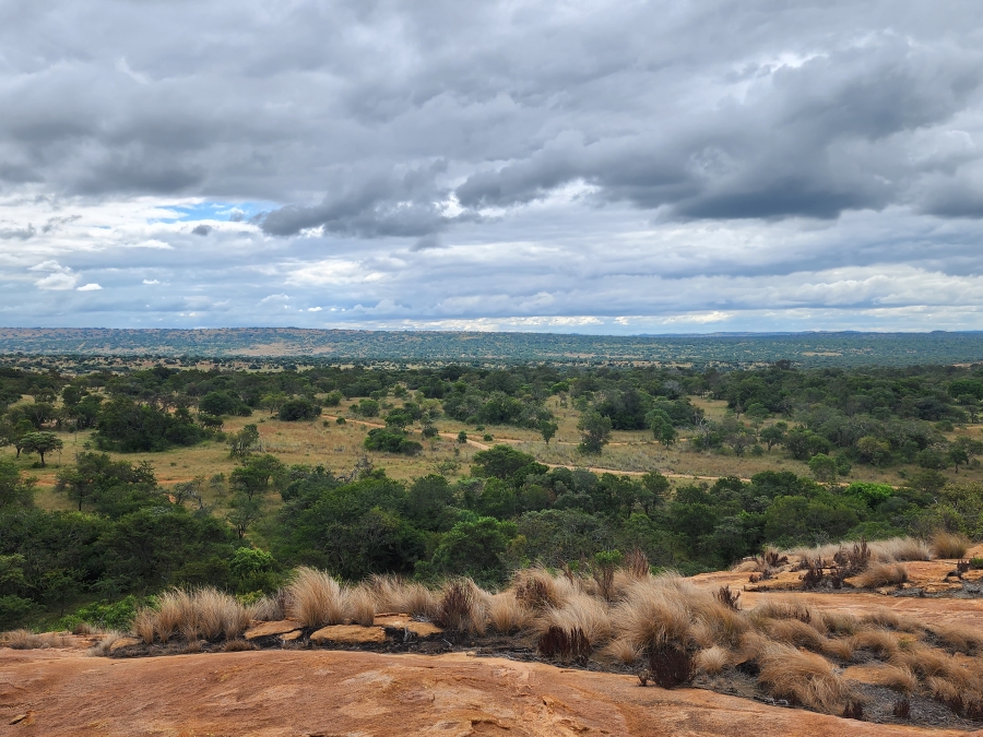 12 Bedroom Property for Sale in Polokwane Rural Limpopo