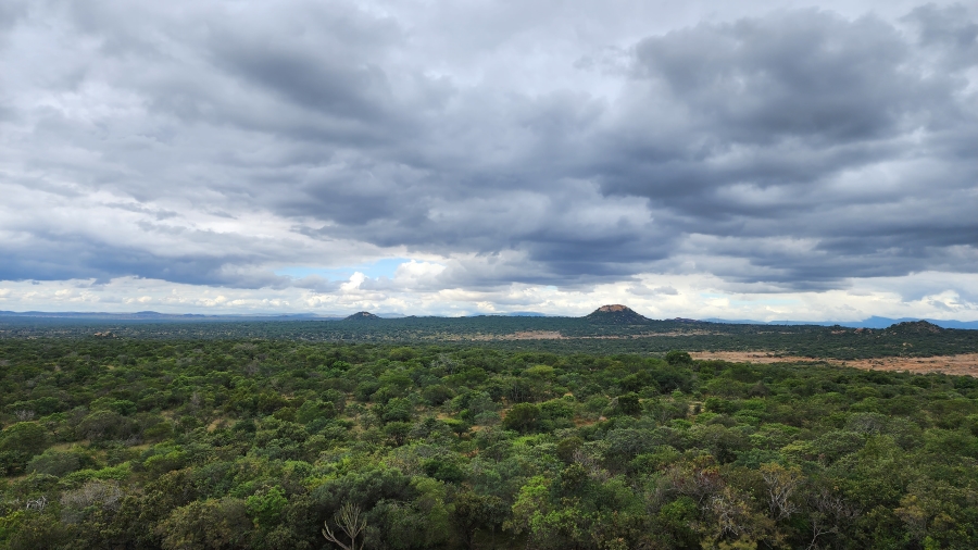 12 Bedroom Property for Sale in Polokwane Rural Limpopo