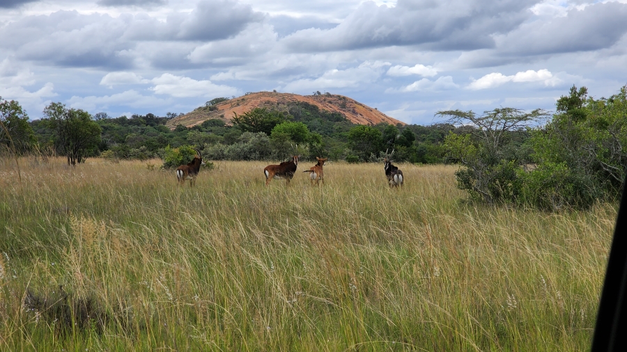 12 Bedroom Property for Sale in Polokwane Rural Limpopo