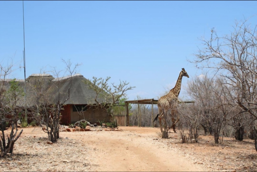 10 Bedroom Property for Sale in Musina Limpopo