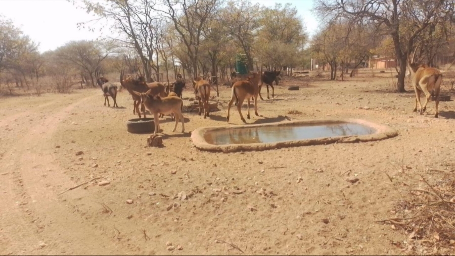 10 Bedroom Property for Sale in Musina Limpopo