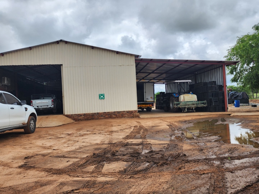 4 Bedroom Property for Sale in Musina Limpopo