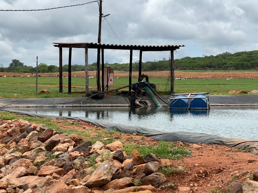 4 Bedroom Property for Sale in Musina Limpopo