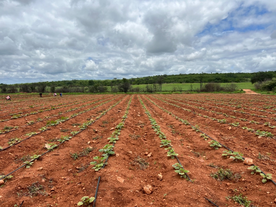 4 Bedroom Property for Sale in Musina Limpopo