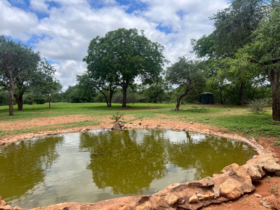 4 Bedroom Property for Sale in Musina Limpopo