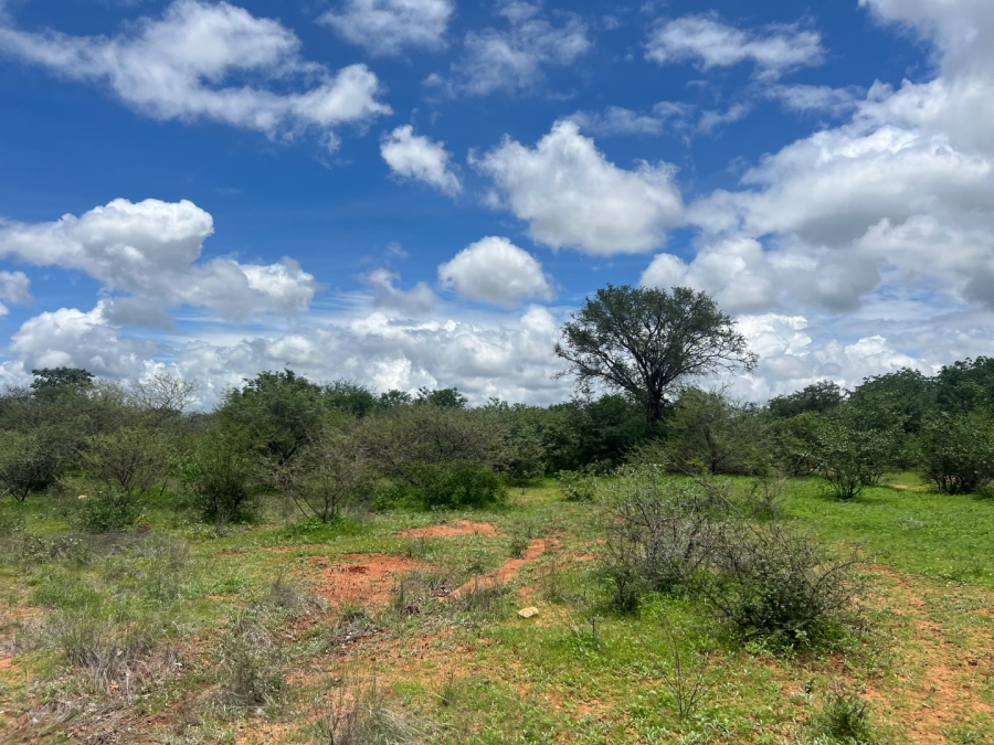 4 Bedroom Property for Sale in Musina Limpopo