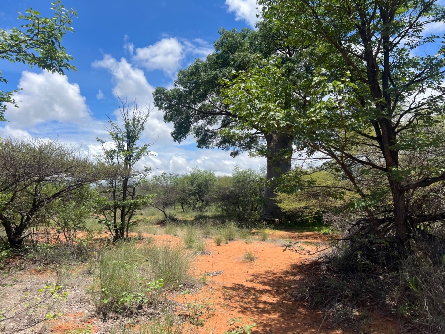 4 Bedroom Property for Sale in Musina Limpopo