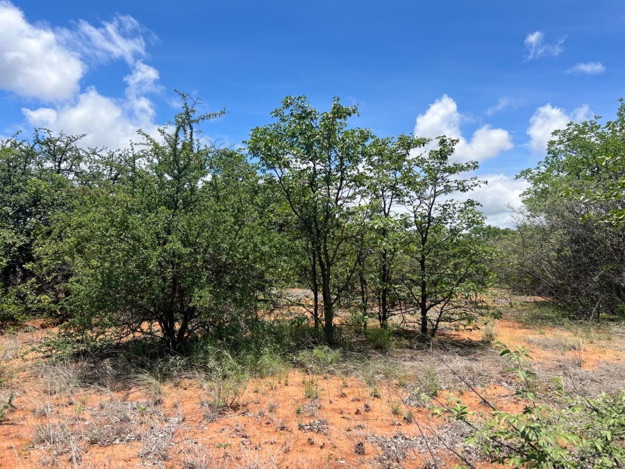 4 Bedroom Property for Sale in Musina Limpopo