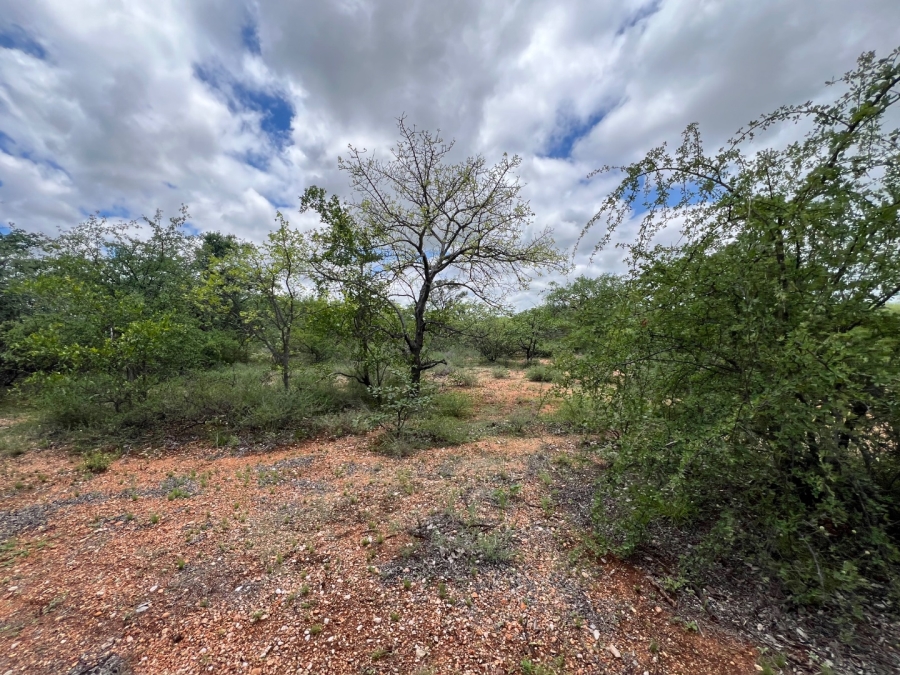 4 Bedroom Property for Sale in Musina Limpopo