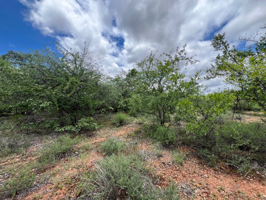 4 Bedroom Property for Sale in Musina Limpopo