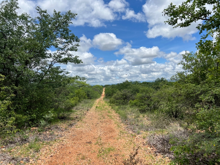 4 Bedroom Property for Sale in Musina Limpopo