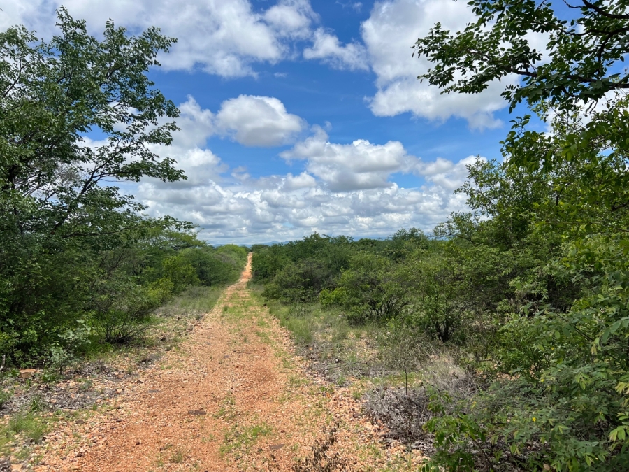 4 Bedroom Property for Sale in Musina Limpopo