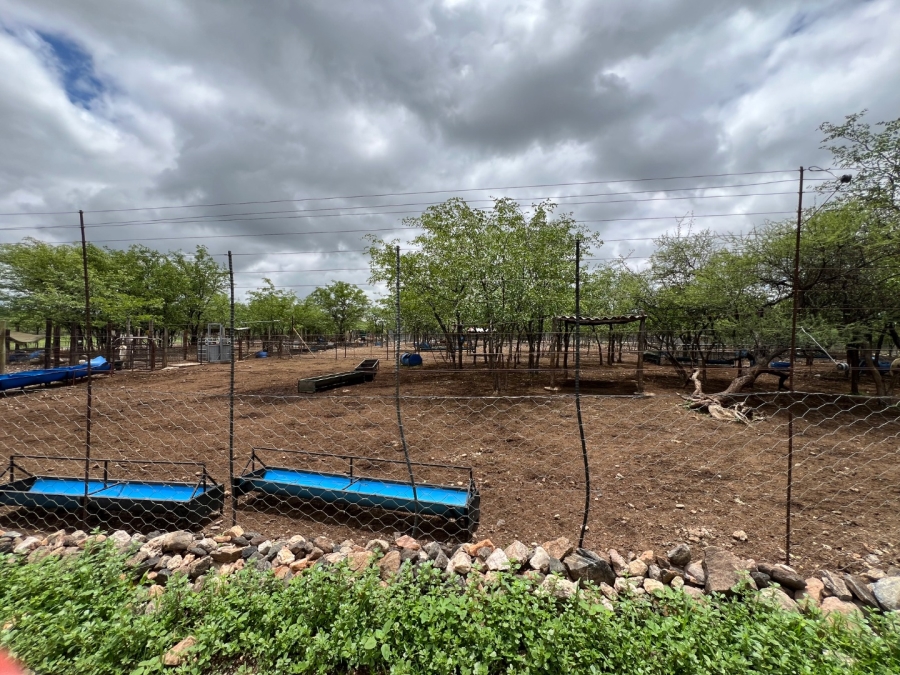 4 Bedroom Property for Sale in Musina Limpopo