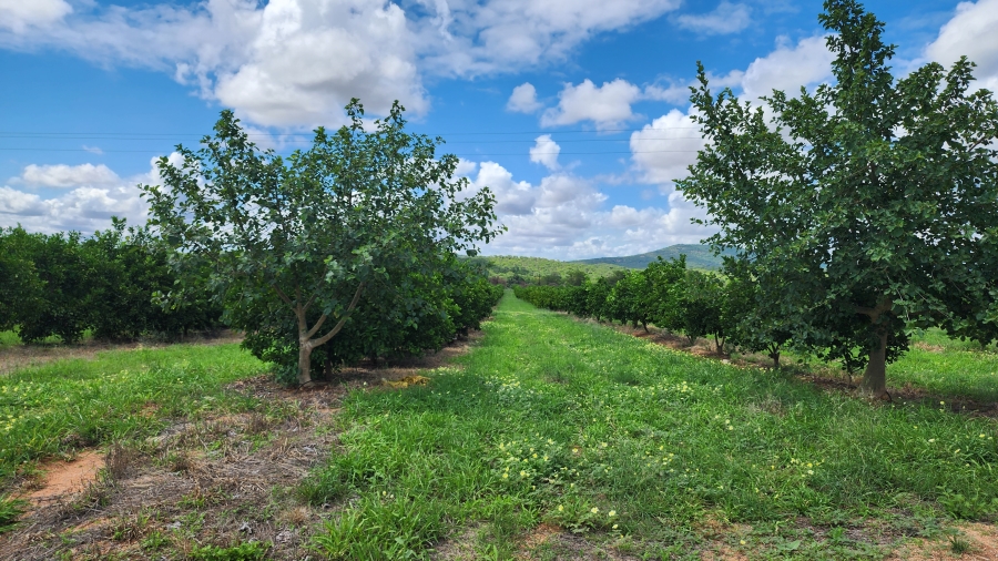 0 Bedroom Property for Sale in Musina Limpopo