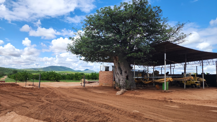 0 Bedroom Property for Sale in Musina Limpopo