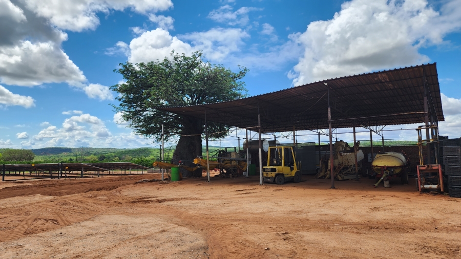 0 Bedroom Property for Sale in Musina Limpopo