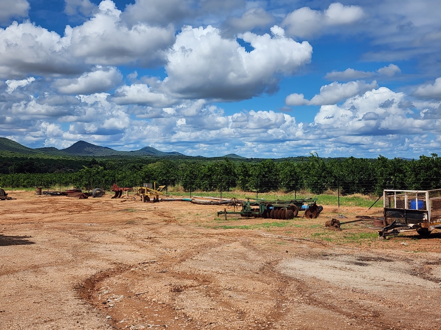 0 Bedroom Property for Sale in Musina Limpopo