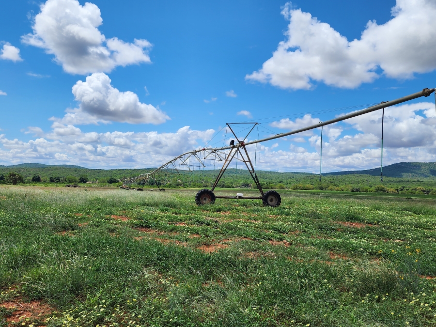 0 Bedroom Property for Sale in Musina Limpopo