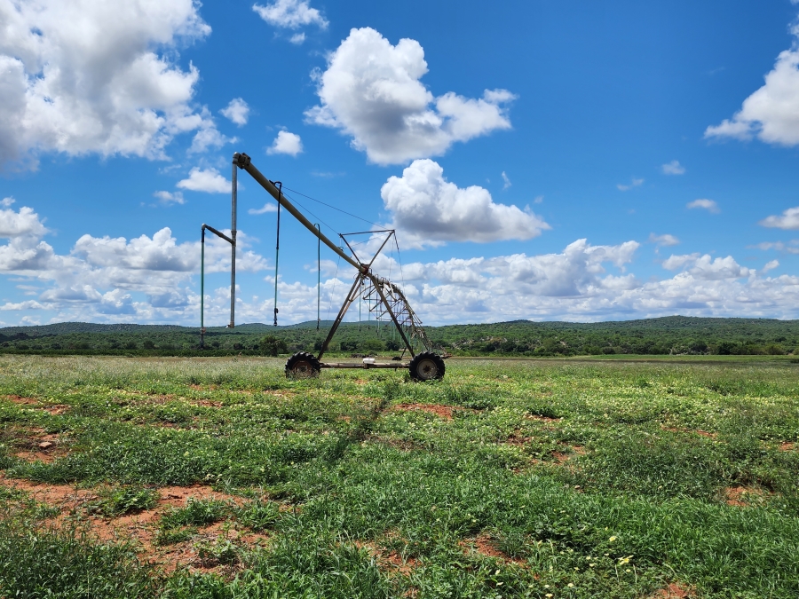 0 Bedroom Property for Sale in Musina Limpopo