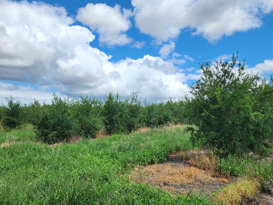 0 Bedroom Property for Sale in Musina Limpopo