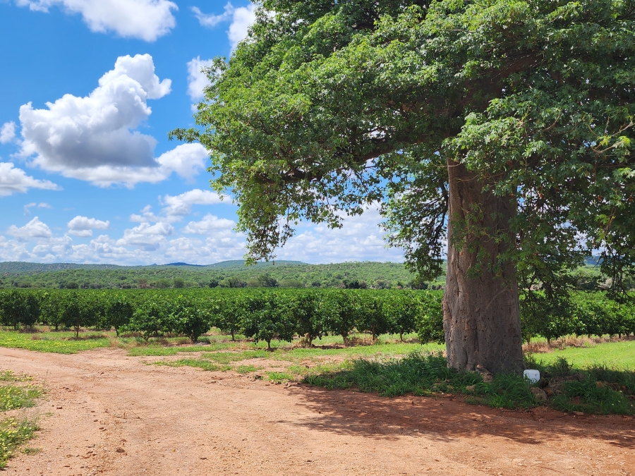 0 Bedroom Property for Sale in Musina Limpopo