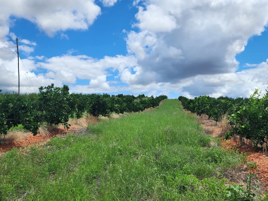 0 Bedroom Property for Sale in Musina Limpopo