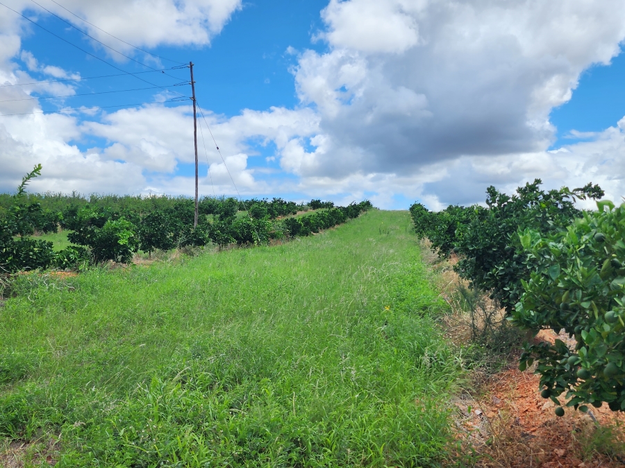 0 Bedroom Property for Sale in Musina Limpopo