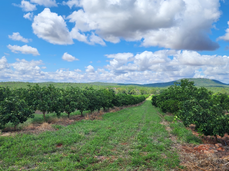 0 Bedroom Property for Sale in Musina Limpopo