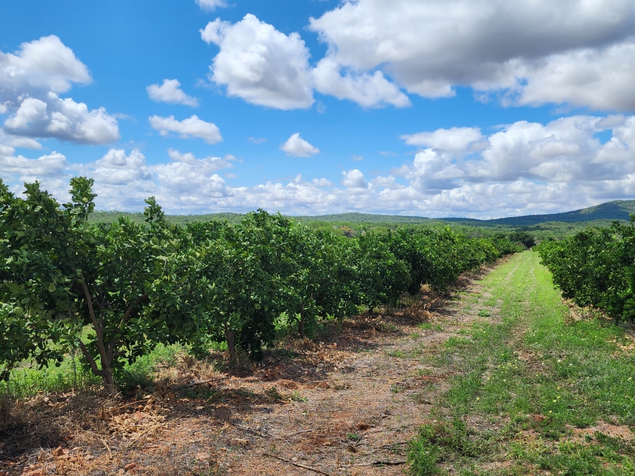 0 Bedroom Property for Sale in Musina Limpopo