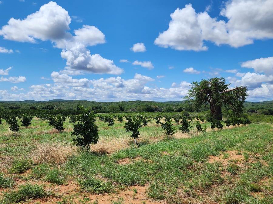 0 Bedroom Property for Sale in Musina Limpopo