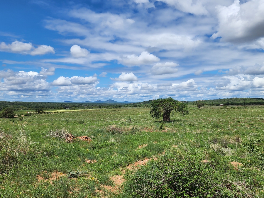 0 Bedroom Property for Sale in Musina Limpopo